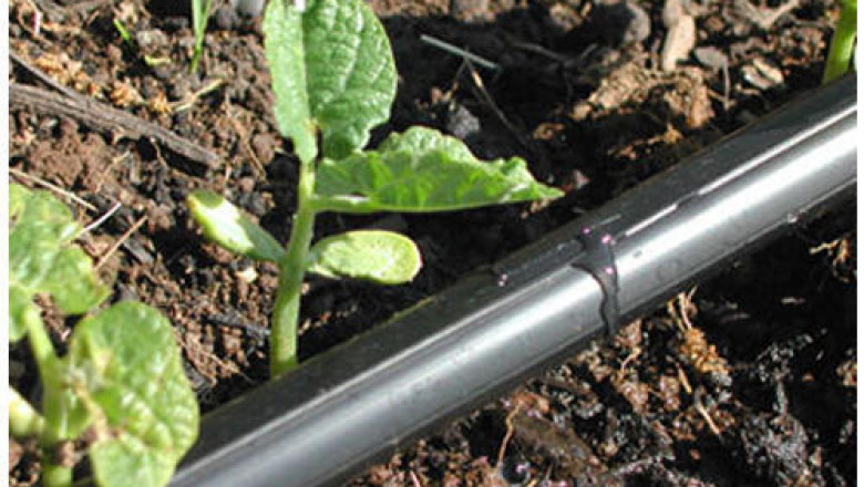 Global Drip Irrigation Market Share, Size, Gorwth and Forecast 2022-2027