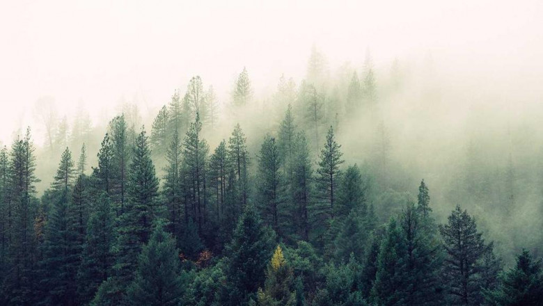 hiring a handyman to help seniors with home improvements deck builders london