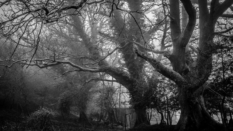 how to explain cheap philadelphia car insurance to a fiveyearold