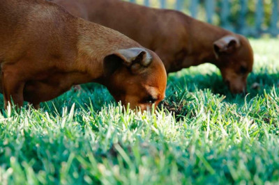 mejores consejos de un cerrajero experto sobre como proteger sus ventanas