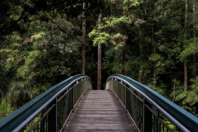 miley cyrus and videos in english for kids 10 surprising things they have in common