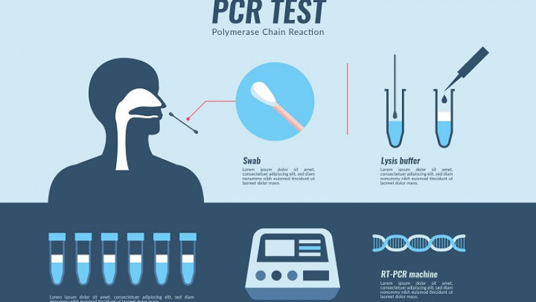 Polymerase Chain Reaction (PCR) Market Latest Innovations forecast 2022-2030