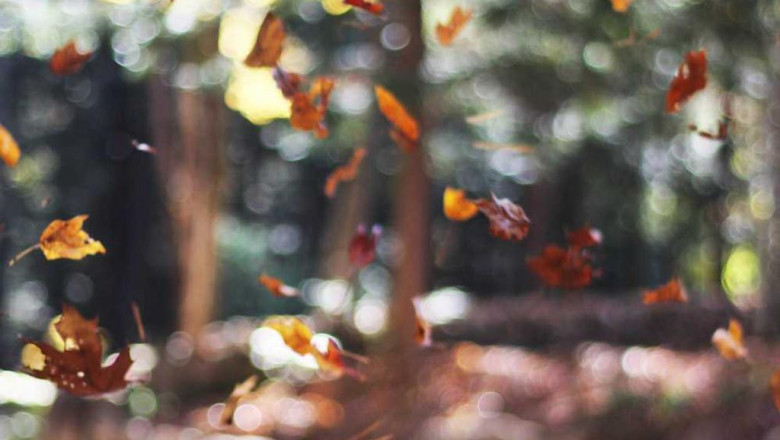 what do onpage seo and offpage search engine optimization mean