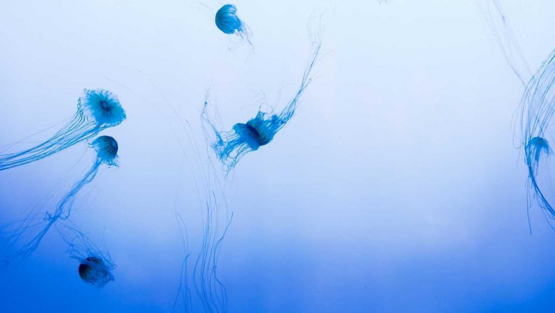 10 apps to help you manage your mqdm trym bgvgl