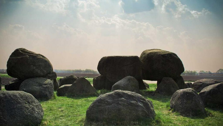 10 facts about best dog bite pit bull attorney lawyer in fresno ca that will instantly put you in a good mood