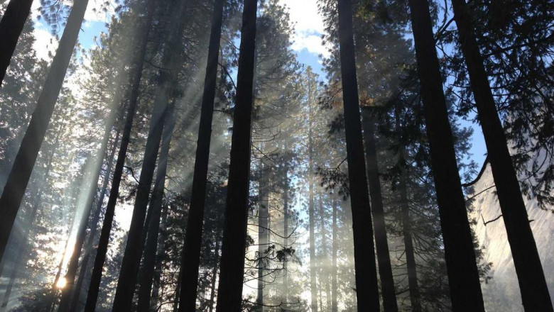 10 great youth custom nfl jersey cheap public speakers