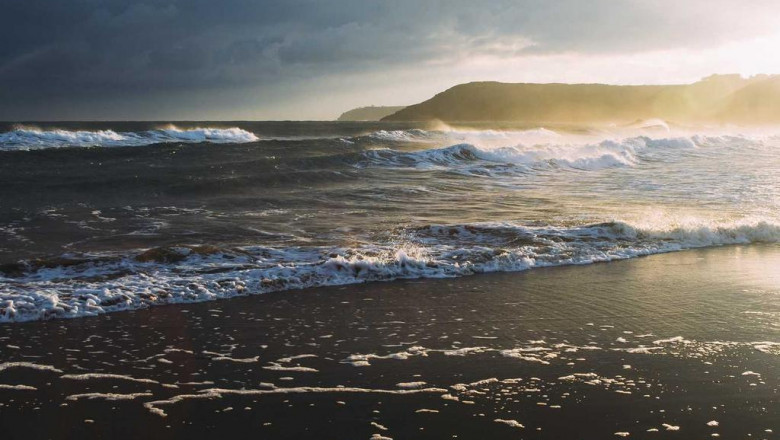 10 startups thatll change the buy distillate online canada industry for the better