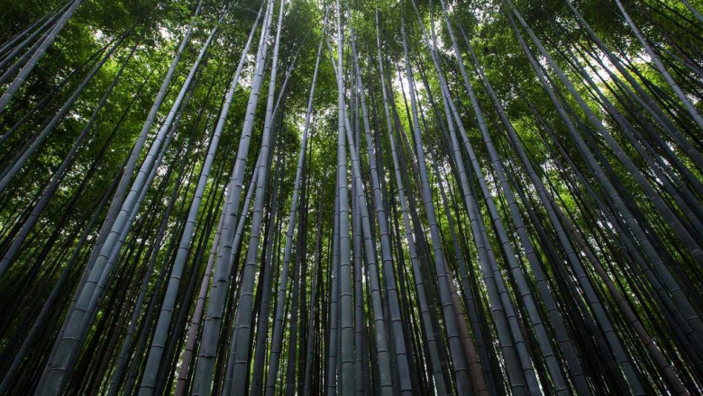 20 questions you should always ask about buy adb butinaca in france before buying it