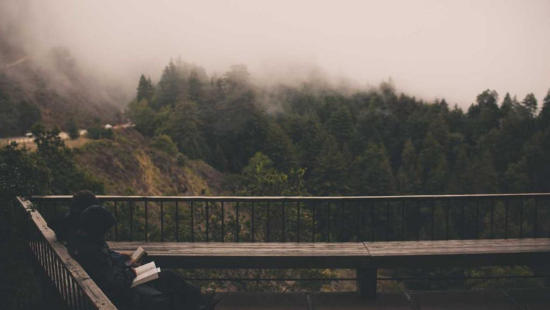 20 resources thatll make you better at best dog bite pit bull attorney lawyer in fresno ca