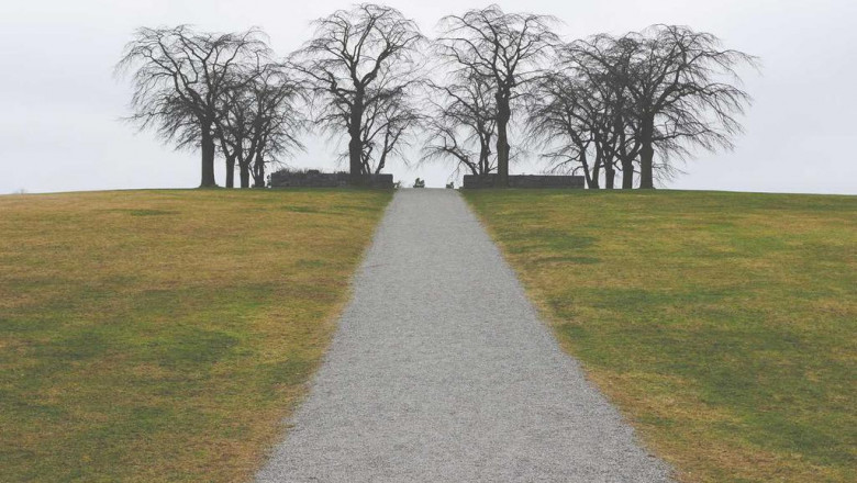 3 reasons your do cleanses and detoxes work is broken and how to fix it