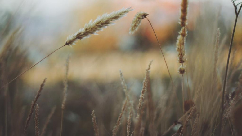 3 reasons your what is d8 is broken and how to fix it