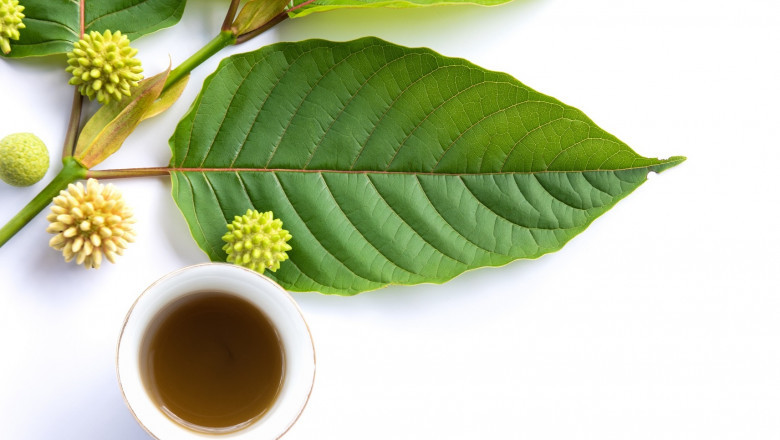 4 Ways to Beat Occasional Holiday Stress with Kava and Kratom