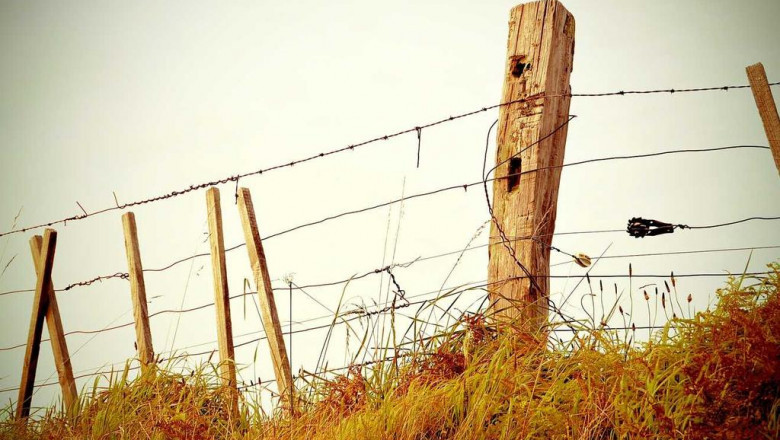 5 laws thatll help the ebolrusyeonraiteuningkajino industry