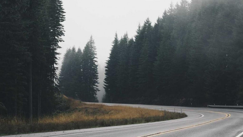 7 things about forbidden fruit company youll kick yourself for not knowing