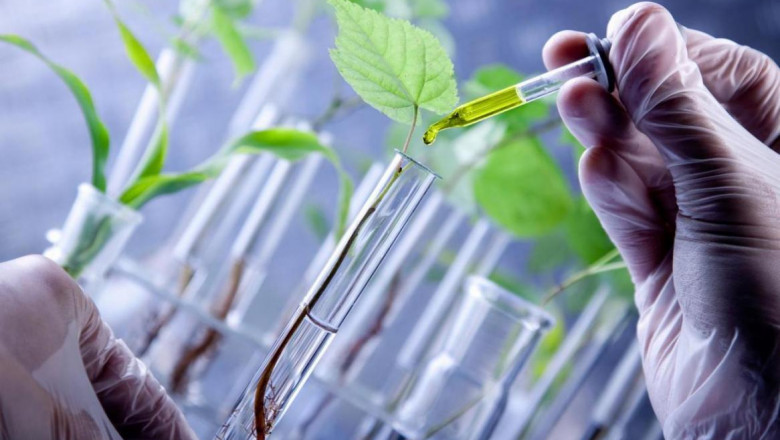 Agricultural Testing Helping Farmers, And Environmental Organizations Choose The Best Fertilizers