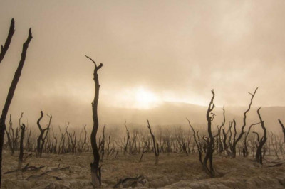 de que forma mantener sus ventanas seguras contra robos