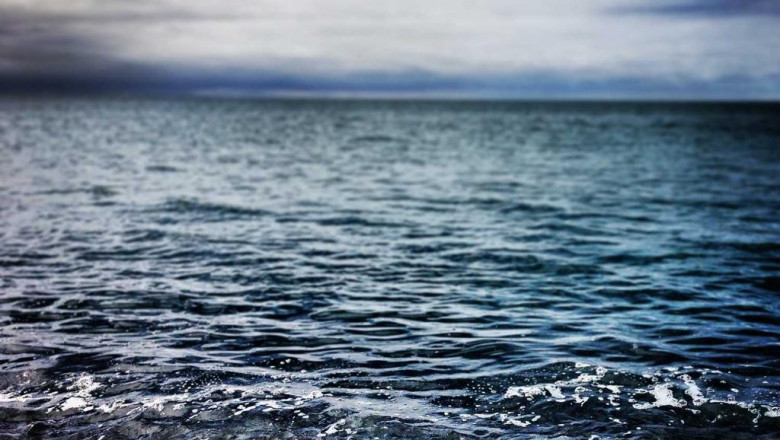 etsy seo analytics keyword search volume