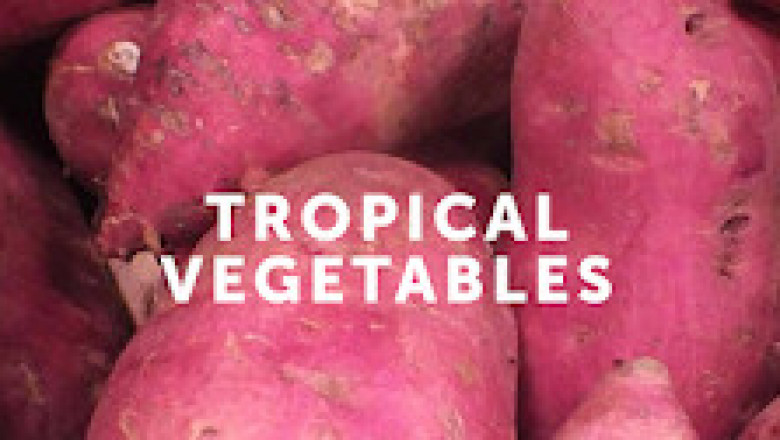 Find The Best IQF Vegetable Distributor - MIC Food