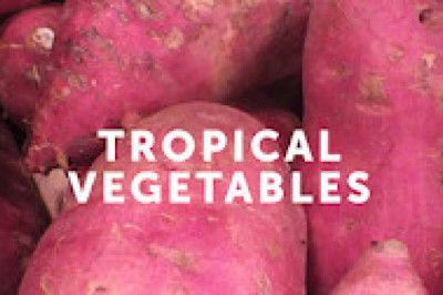 Find The Best IQF Vegetable Distributor - MIC Food