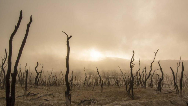 for individual fitness instructors as well as fitness instructors