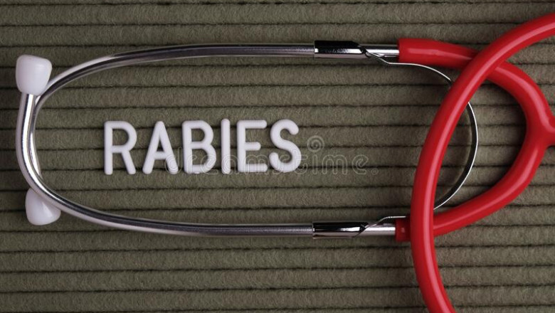 Global Rabies Diagnostics Market Report, Latest Trends, Industry Opportunity & Forecast to 2028