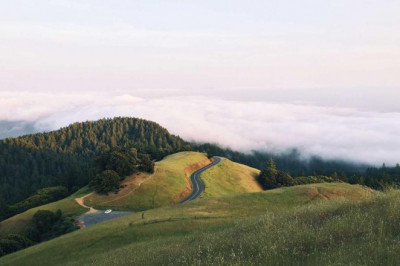 hostgator hosting plans