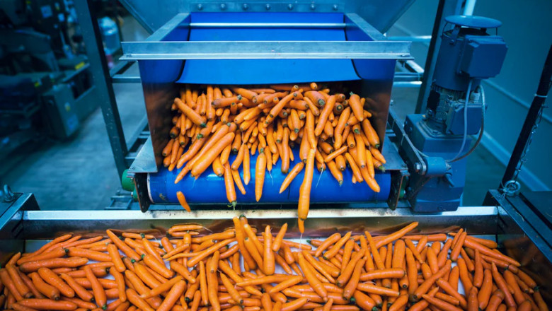 How To Choose The Right Conveyor Belt In 5 Easy Steps