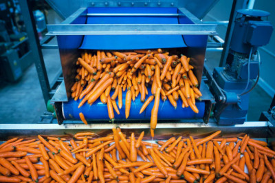 How To Choose The Right Conveyor Belt In 5 Easy Steps