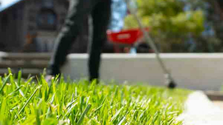 How to purchase a Lawn Care Services