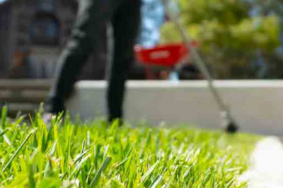 How to purchase a Lawn Care Services