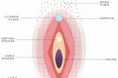 Labiaplasty Before and After in Toronto Online