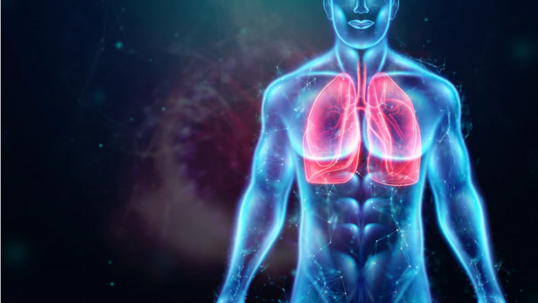 Lung Detoxification: Natural Ways To Clean Lungs!