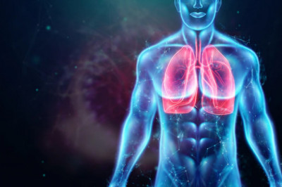 Lung Detoxification: Natural Ways To Clean Lungs!