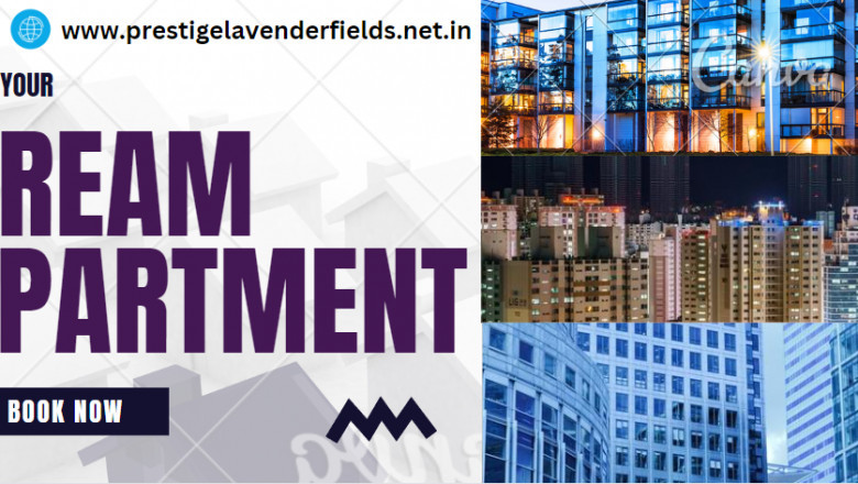 Luxury Apartments in Whitefield