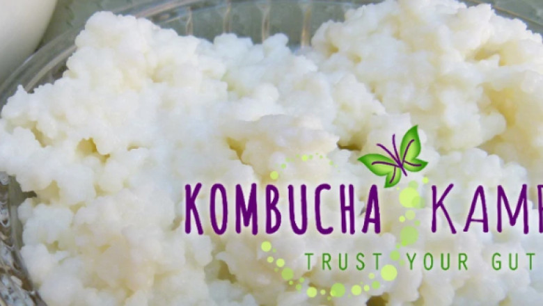Milk Kefir Grains Recipes