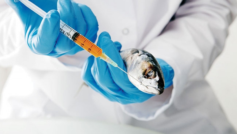 Principals of Veterinary Vaccine