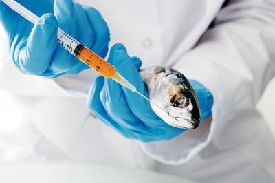 Principals of Veterinary Vaccine
