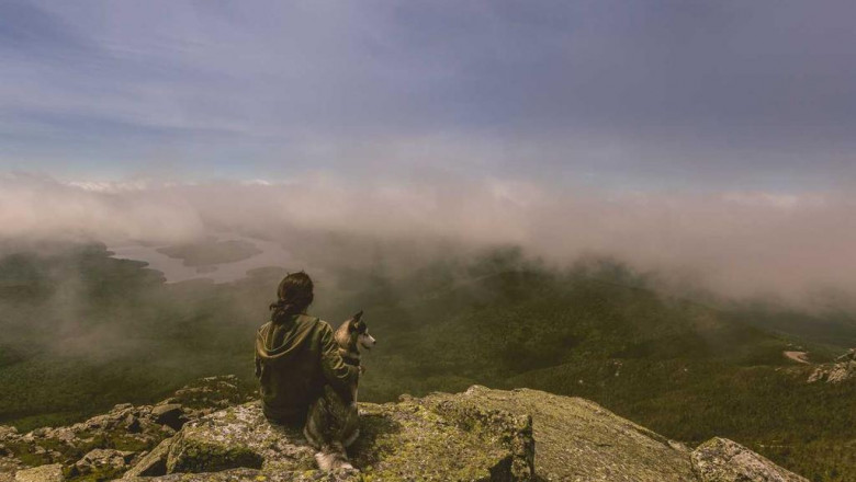 search engine marketing web optimization specialist job description template workable