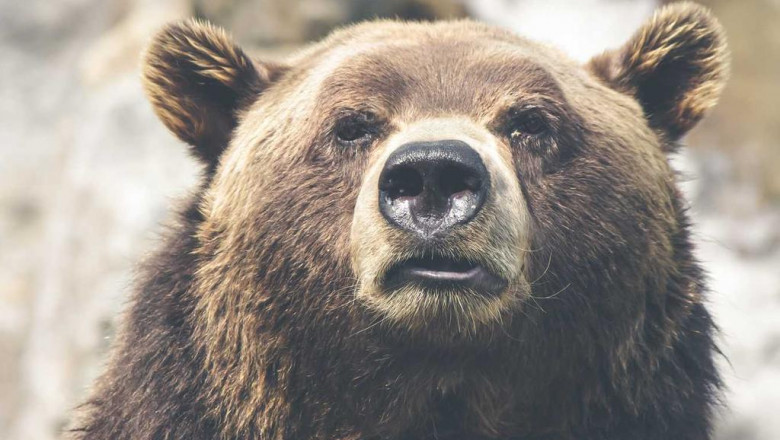 thc flower spray all the stats facts and data youll ever need to know