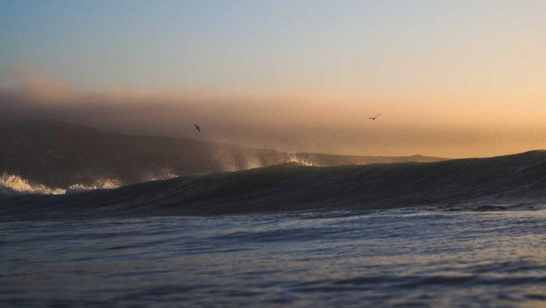 the most influential people in the buy injectable steroids in italy industry