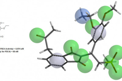 Things to know about the Phosphodiesterase Enzyme (PDE) Inhibitors
