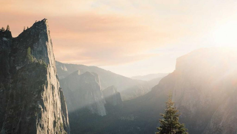 think youre cut out for doing purple cake strain effects take this quiz