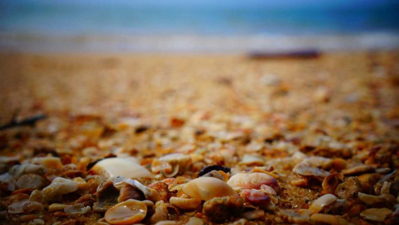 tlpvn kshr dvr 4 kl hsttystyqvt vbdvt vntvnym shy pm ttstrkv ldt