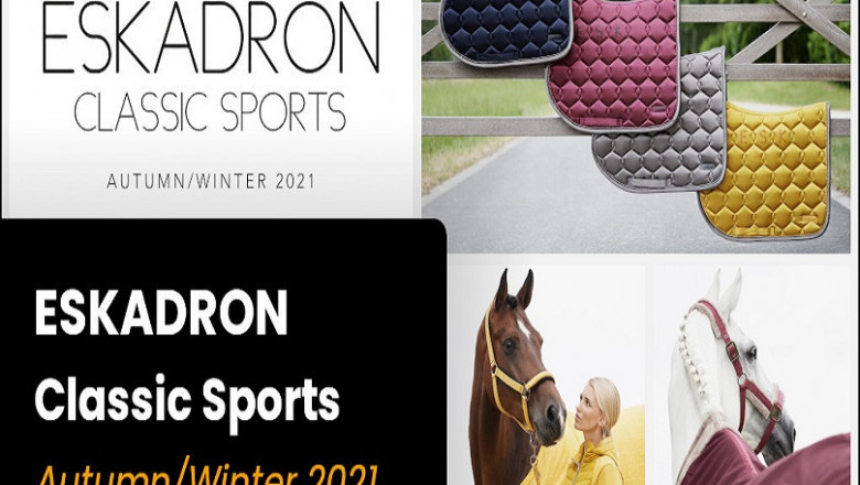 Was sind die praktischen Geschenke für Pferdebesitzer?