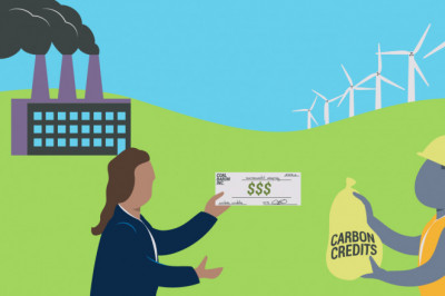 What Exactly Are Carbon Credit
