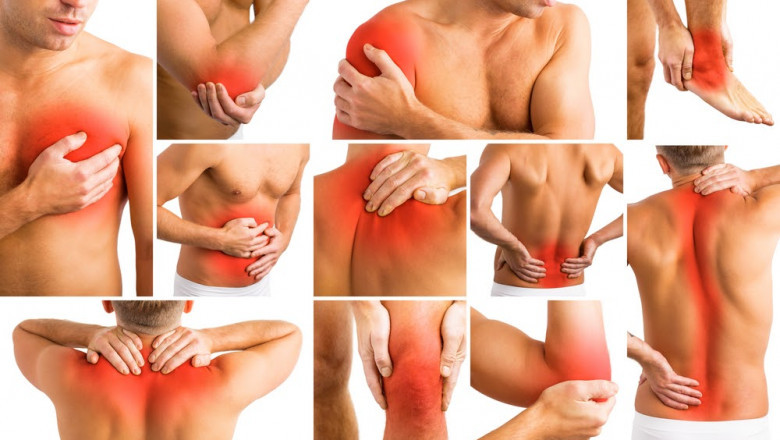 What Situations Call for a Physiotherapist Visit?