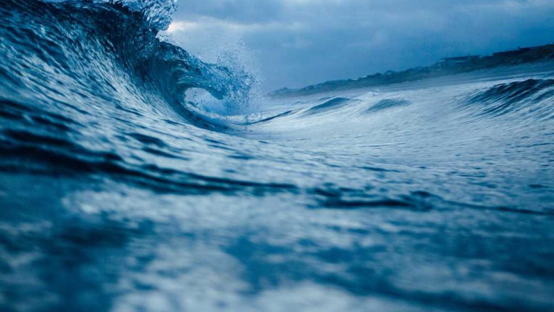 will mqdm trym ever die