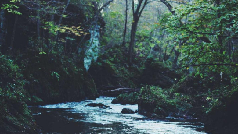 12 reasons you shouldnt invest in car insurance philadelphia