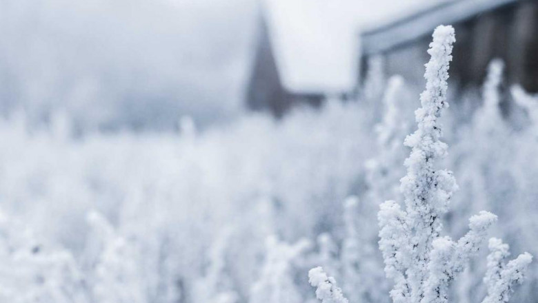 15 most underrated skills thatll make you a rockstar in the buy psychedelics in italy industry