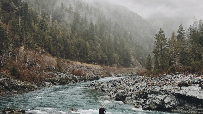 are you getting the most out of your london haze strain